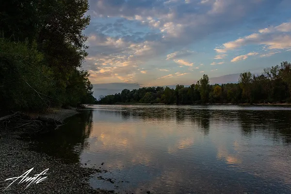 Nature 10