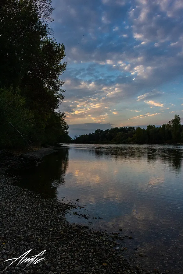 Nature 6